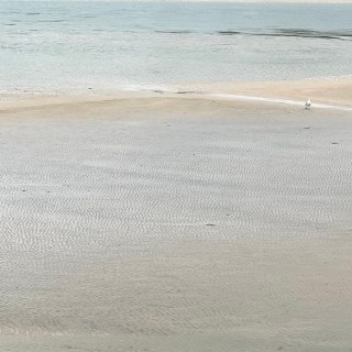 LeSouffle_SariyeKozan1