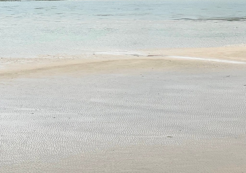 Image forces essentielles et invisibles le souffle et la résilience